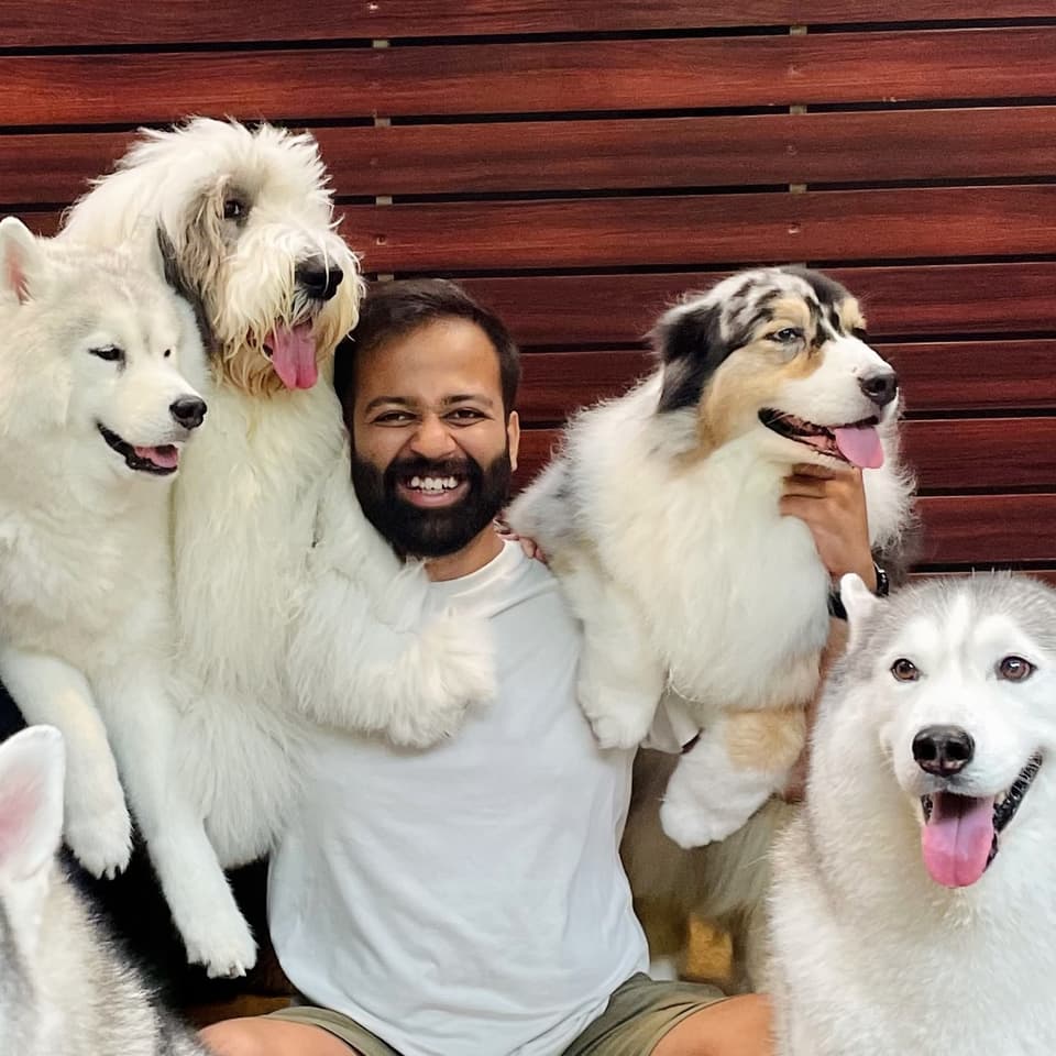 Dhruvik Neharia laughing, surrounded by four fluffy dogs